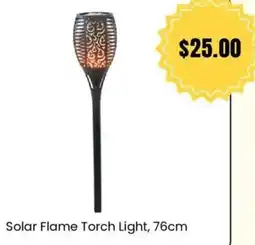 Cheap as Chips Solar Flame Torch Light offer