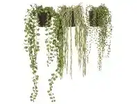 3 Piece Assorted Potted Artificial String of Pearls, Angel Vine, Hoya Set