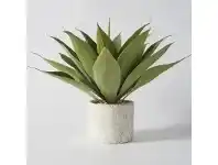 LivingStyles Sora Agave in Stone Effect Tub offer