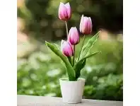 LivingStyles 4 Head Artificial Tulip in Pot - Pink offer