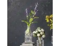 LivingStyles Sora Salvia in Glass Bottle offer
