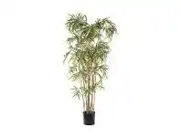 LivingStyles Artificial Variegated Royal Bamboo, 170cm offer