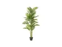 LivingStyles Potted Artificial Cane Palm Tree, Type C, 230cm offer