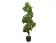 LivingStyles Spiral Shape Boxwood offer