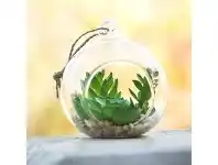 Artificial Miniature Plants in Hanging Glass Terrarium C