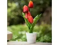 LivingStyles 4 Head Artificial Tulip in Pot - Sunset Red offer