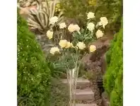 LivingStyles Set of 3 Five Head Artificial Roses - Yellow offer
