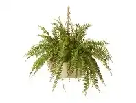 LivingStyles Dansk Artificial Fern in Wooden Hanging Pot offer