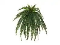 LivingStyles Artificial Boston Fern, Small offer
