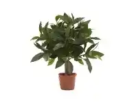 LivingStyles Artificial Laurel Ball Tree, 35cm offer