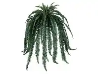 LivingStyles Potted Artificial Boston Fern, Large offer
