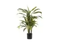 Artificial Cordyline Plant, 75cm