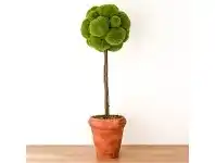 Sora Potted Moss Tree