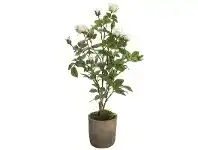 LivingStyles Artificial Rose in Terracotta Pot, White offer