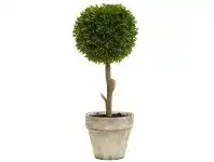 LivingStyles Artificial Boxwood Ball Topiary in Pot offer