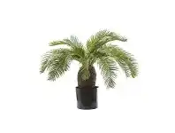 LivingStyles Artificial Cycus Palm, 65cm offer