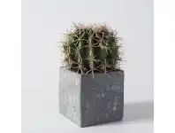 LivingStyles Sora Ball Cactus in Concrete Effect Cube offer