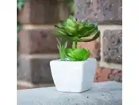 Artificial Cacti Bloom in Pot