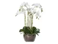 LivingStyles Artificial Phalaenopsis in Classic Bowl, Large offer