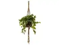LivingStyles Artificial Syngonium Plant in Glass Hanging Pot offer