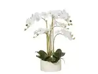 LivingStyles Artificial Butterfly Orchid in Stone Pot offer