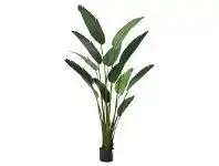 LivingStyles Potted Artificial Bird of Paradise Plant, Type A, 183cm offer