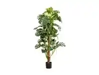 Artificial Split Leaf Philodendron, 150cm