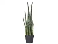 Potted Artificial Snake Tail Plant, 68cm