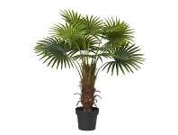 LivingStyles Potted Artificial Fan Palm, 100cm offer