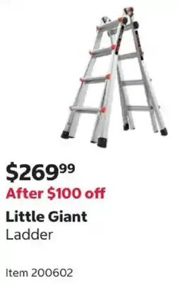 Costco Little Giant Ladder offer