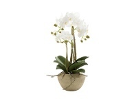 LivingStyles Siana Artificial Orchid Flowerin Stone Pot, Small offer