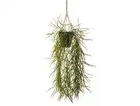 Artificial Hoya in Hanging Pot, Set of 2