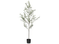 LivingStyles Potted Artificial Olive Tree, 170cm offer