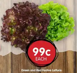 Spudshed Green and Red Festive Lettuce offer