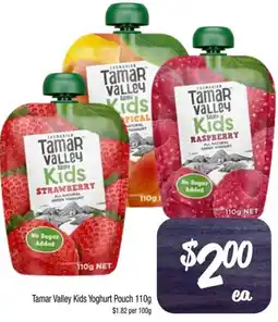 Foodworks Tamar Valley Kids Yoghurt Pouch offer