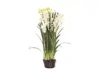 LivingStyles Tonya Artificial Cymbidium Orchid in Paper Pot, White offer