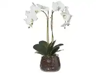 LivingStyles Artificial Phalaenopsis in Classic Bowl, Medium offer