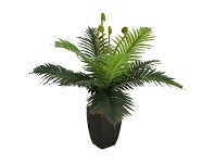 LivingStyles Potted Artificial Boston Fern, 70cm offer