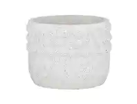 LivingStyles Alia Paper Mache Planter offer