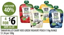 Supabarn Tamar valley dairy kids greek yoghurt pouch offer