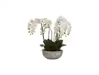 LivingStyles Alivia Artificial Orchid Flower in Clay Pot offer