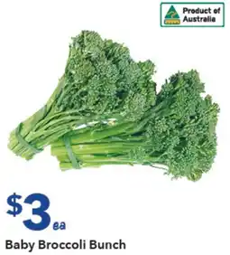 Ritchies Baby Broccoli Bunch offer
