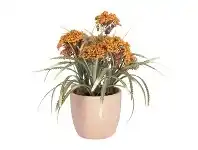 Alamos Artificial Leonitis Leonurus in Ceramic Pot