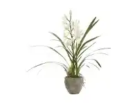 LivingStyles Kira Artificial Cymbidium Orchid in Ceramic Pot offer