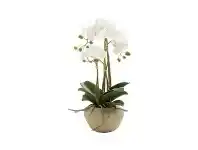 LivingStyles Siana Artificial Orchid Flowerin Stone Pot, Small offer