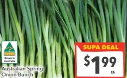Supa Valu Australian Spring Onion Bunch offer