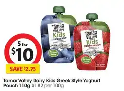 Coles Tamar Valley Dairy Kids Greek Style Yoghurt Pouch offer