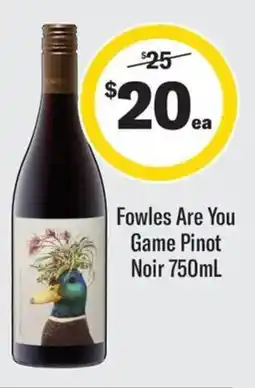 Coles Fowles Are You Game Pinot Noir offer