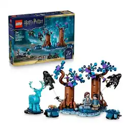 Target LEGO Harry Potter TM Forbidden Forest : Expecto Patronum 76475 offer