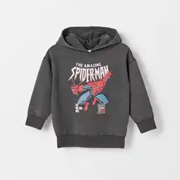 Target Marvel Spider-Man Australian Cotton Oversized Washed Sweat Hoodie offer
